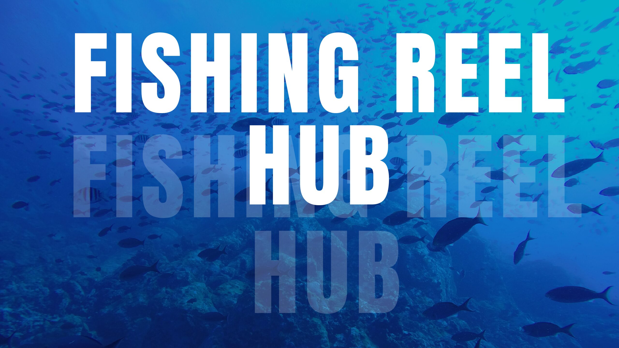 Hero's Fishing Reel Hub